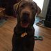 Wanda Bratcher - Facebook