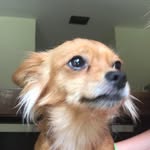 Wanda Bray - @wanda.bray.12 - Instagram