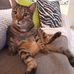 Wendy Bizzell - Facebook