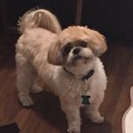 Wanda Breeden - @redskin06 - Instagram