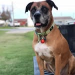 Wanda Brinson - @wbrinson - Instagram
