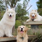 Wanda - @wandabritton__37 - Instagram