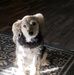 Wanda Broadwater - Facebook