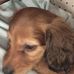Wanda Buchanan - Facebook