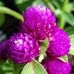 Wanda J Buchanan - Facebook