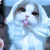Wanda Buckley - @wanda.buckley2 - TikTok