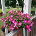 Wanda Buckner - Facebook