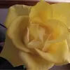 wanda buffingtono9 - @wanda.buffingtono - TikTok