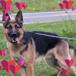 Wanda Burgin - @wmiller20202 - Instagram