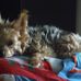 Wanda Burke - Facebook