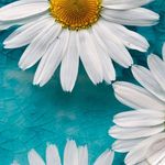 Wanda Hosford Burroughs - @wanda.h.burroughs - Instagram