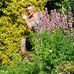 Wanda Bogacz-bury - Facebook