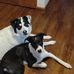 Wanda Busch - Facebook