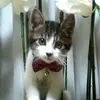 Wanda.Calhoun - @franerax9df - TikTok