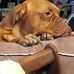 Wanda Cape - Facebook