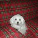 Wanda Caputo - Facebook