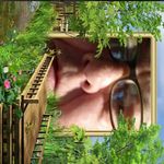Wanda Carrier - @wanda.carrier.54 - Instagram