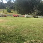 Wanda Carson Fox - @wandacarsonfox - Instagram