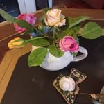 wandacasanova84 - @wandacasanova84 - Instagram