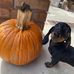 Wanda Cassels - Facebook