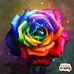 Wanda Caudill - Facebook