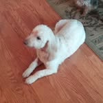 Wanda Caudill - @wanda.caudill.9047 - Instagram