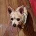 Wanda Deaton Caudill - Facebook