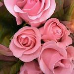 Wanda Cecilio Fernandes - @wanda_cecilio_fernandes - Instagram