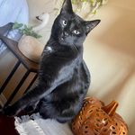 Wanda Chaffin York - @wandayork08 - Instagram