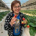 Wanda Chan - @wanda.chan.7739 - Instagram
