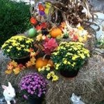 Wanda Cheatham - @boplb4657 - Instagram