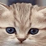 Wanda Childs - @wanda.childs1 - Instagram