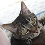 Wanda Chirnside - @chirnsidewanda - Instagram