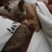 Wanda Chitwood - Facebook