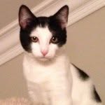 Wanda Christensen - @1happidawg - Instagram