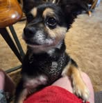 Wanda Christensen - Facebook