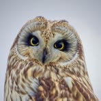 Wanda Christensen - Facebook