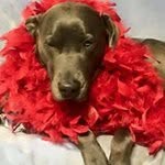 @wandacink1963 - Instagram