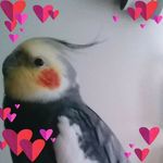 Wanda Clements - @wannz50 - Instagram