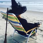 Wanda Keckley Click - @wandac422 - Instagram