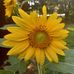 Wanda Goble - Facebook