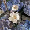 Wanda Cockrell Jo425 - @wandacockrelljo42 - TikTok