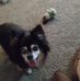 Wanda Coffman - Facebook