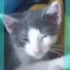 Wanda Corfield - @wanda.corfield - TikTok