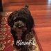 Wanda Colvin - Facebook