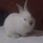 wanda.coneja - @wanda.conejo - Instagram