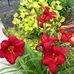 Wanda Connolly - Facebook