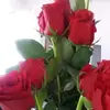 Wanda Conyers692 - @wandaconyers - TikTok