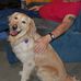 Wanda Coon - Facebook