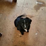 Wanda coppedge - @coppedge.wanda - Instagram